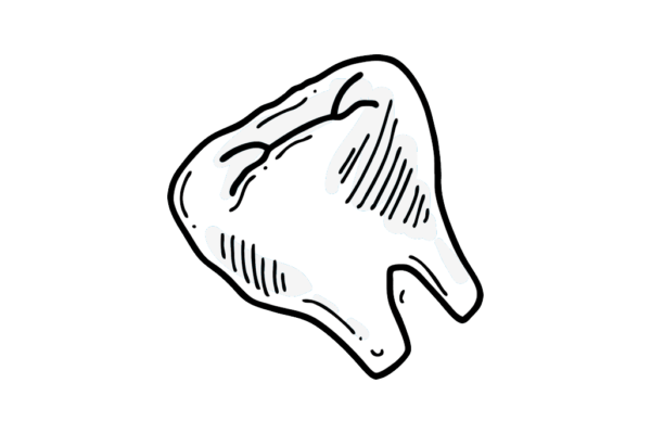 Dental Care
