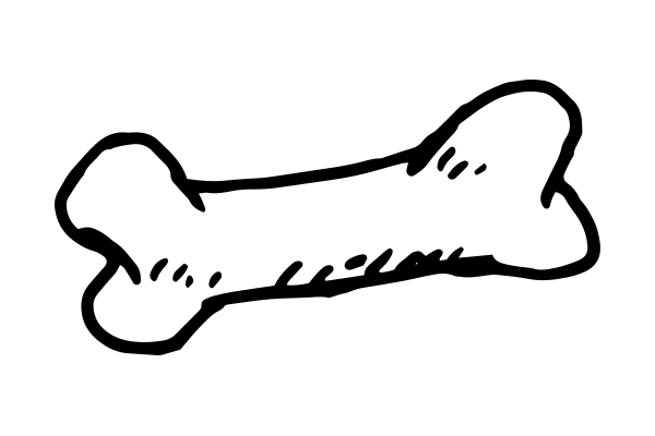 Mobile X-Ray