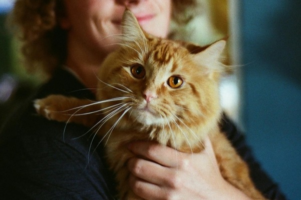 Pet Health Club