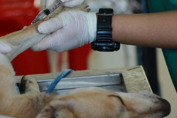 Surgery & Procedures