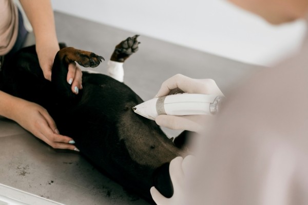 Diagnostic Tests