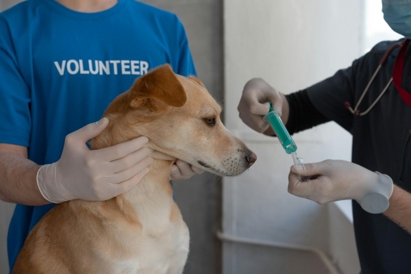 Preventative Care - Vaccinations